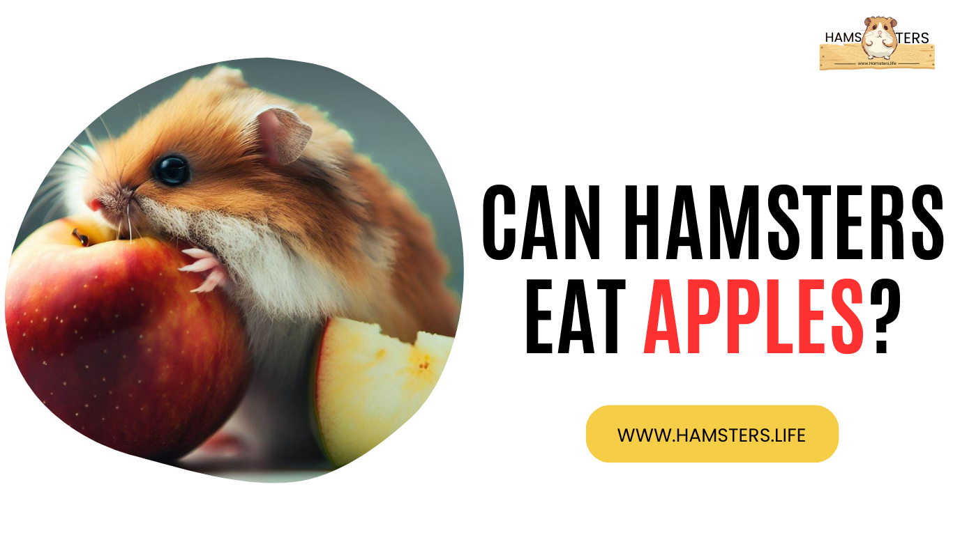 Can Hamsters Eat Apples? A Complete Guide to Feeding Apples to Your ...